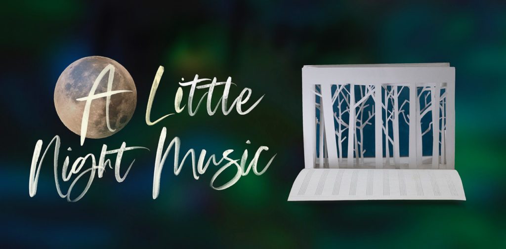 A little night music banner